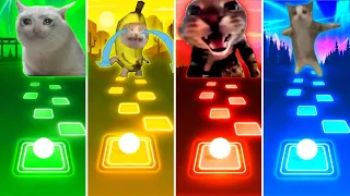 Sad Cat vs Banana Cat vs Doorbell Cat vs Happy Cat - Tiles Hop EDM Rush