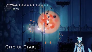 Top 3 Hollow Knight Mods and How to Install Them