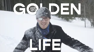Golden Life // Candlelight Ficus (official video)