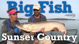 Big Fish in Sunset Country