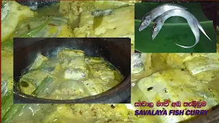 සාවාලයා මාළු අබ තැම්බීම.How to cook Savalaya fish