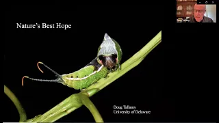 Doug Tallamy: Nature's Best Hope