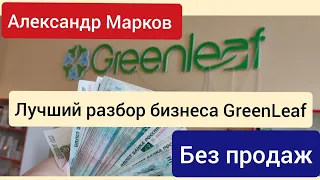 Green Leaf 🔥Лучший разбор бизнеса GreenLeaf топ лидер Александр Марков #greenleaf #greenleaf_инвест