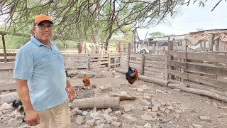 Hombre CAMPESINO muestra su GRAN FORTUNA a detalle/la de VIVIR en un lugar que no cambiaría por NADA