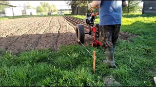 Огород - Посадка картошки новым способом