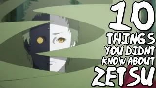 10 Things You Probably Didn't Know About Zetsu! (10 Facts) | Naruto Shippuden | (Black/White Zetsu)