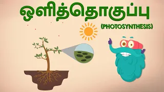 Photosynthesis | ஒளித்தொகுப்பு | Science Videos In Tamil | Dr. Binocs Tamil | Kids Learning Video