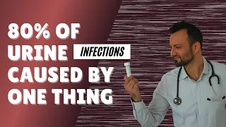 80% of urine infections are caused by one thing