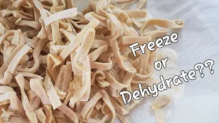 Homemade pasta recipe & Dehydrate or Freeze??