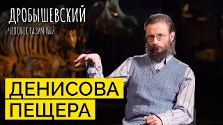 «Коммуналка» древних: чем известна Денисова пещера // Дробышевский. Человек разумный