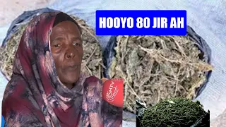 DEG DEG Hooyo 80 Jira oo la arkay ayadoo cabeeyso Maandooriyaha Xashiishka oo laguso Qabtay Muqdisho