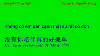 Karaoke - Không có em bên cạnh thật sự rất cô đơn - 没有你陪伴真的好孤单 (B Min)