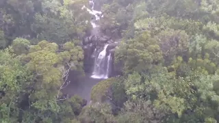 Cabeça d'água em cachoeiras região de Capitólio ( cachoeira da Filó).