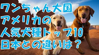 ワンちゃん大国アメリカの人気犬種トップ10、日本との違いは？