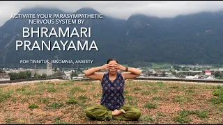 Pranayama - Part 17 | Bhramari Pranayama | Stimulate Vagus Nerve & Enhance Nitric Oxide