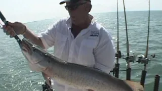 Muskie Trolling on Lake St  Clair