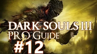 Dark Souls 3 PRO Guide #12 Wächter des Abgrunds