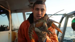 We Caught Another Rare Lobster! (Maine Lobster Fishing Vlog #5)