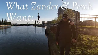 What Zander & Perch Want. PART 1