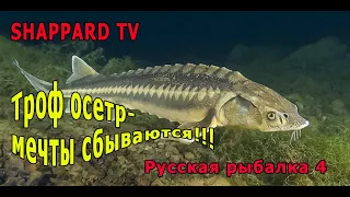 Русская рыбалка 4 🌎Уха из осетра!!!🐠Розыгрыш рулетки с призами каждые 15мин🔥