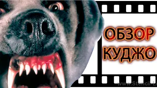 НЕПРИЗНАННЫЕ ШЕДЕВРЫ #6 | Треш обзор на Куджо | Cujo | Стивен Кинг | 1983 год