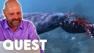 Could The Loch Ness Monster Be A Living Fossil? | Monsters Of The Abyss