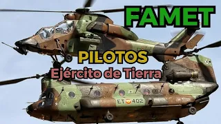 Las Fuerzas Aeromóviles del Ejército de Tierra (FAMET)