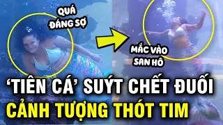 "Nàng tiên cá" suýt chết khi đang biểu diễn, toàn bộ diễn biến được camera ghi lại gây thót tim