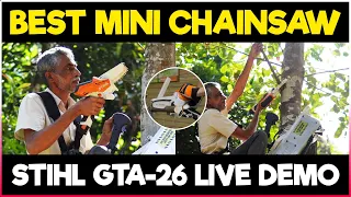 Best Mini Chainsaw..? LIVE DEMO | STIHL GTA 26 Battery-Powered Smallest Cordless Chainsaw