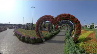 Дубаи360/Путевые Заметки - 360 видео - прогулка по пустому Саду Чудес/Miracle Garden в Дубаи, ч.02