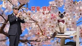 "벚꽃 엔딩" 트럼펫커버(Trumpet Cover)