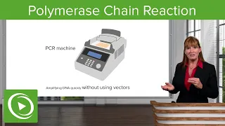 Polymerase Chain Reaction – COVID-19 | Lecturio