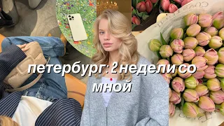 2 недели с лизой: она решила выпекать хлеб и делать ремонт.