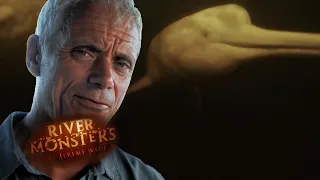 This Dolphin Species Could Be Murderous | River Monsters