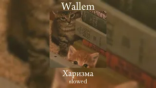 Wallem - Харизма (slowed)