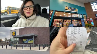 Большая и полезная закупка на +120$/Магазины Kroger/Lidl/Полный обзор цен и товаров/Жизнь в США