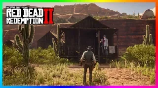 What Happens If John Marston Visits Pinkerton Edgar Ross House In Red Dead Redemption 2? (RDR2)