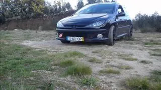 Peugeot 206 1.6 "My project"