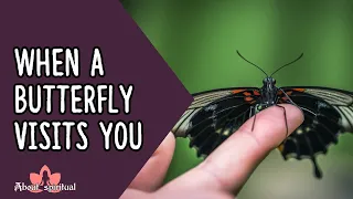 When a Butterfly Visits You