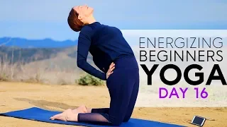 Beginners Yoga For Energy (20 min Flow) Day 16 | Fightmaster Yoga Videos