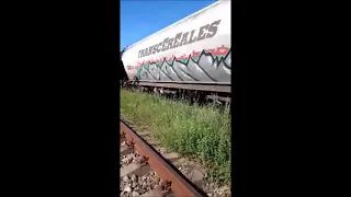 eBihoreanul.ro / Într-o stație CFR din Oradea trenurile „patinează” din cauza buruienilor