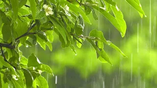 Rain Sounds 10 Hours:The Sound of Rain Meditation,Autogenc Training, Deep Sleep,Relaxing