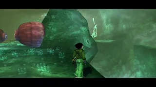 Beyond Good and Evil glitch