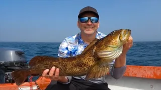 Lingcod Fishing Limit.  Sekiu Boat Rentals.