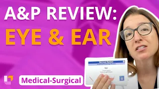 A&P Review: Eye and Ear - Medical-Surgical - Nervous System | @LevelUpRN