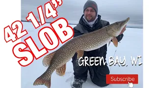 Catching MONSTER pike on Green Bay!
