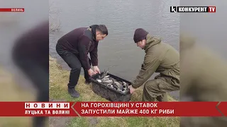 На Горохівщині у ставок запустили майже 400 кг риби