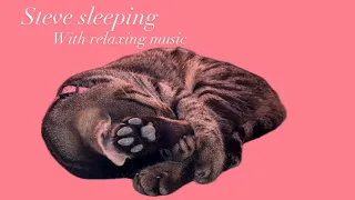 30 minutes of Steve sleeping 2 /with relaxing music /4K