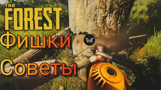 10 Фишек, Советов The forest Для новичков