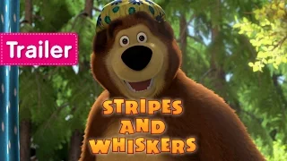 Masha and The Bear - Stripes and Whiskers (Trailer)